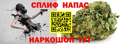 спиды Бийск
